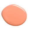colorex-21-100ml-1500g