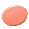 colorex-22-100ml-1500g