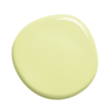 colorex-40-100ml-4000g