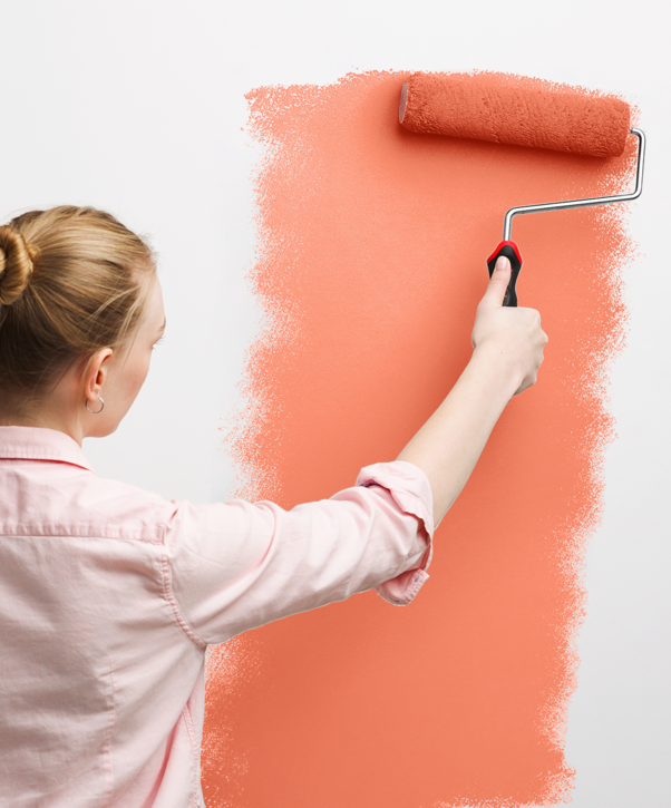wall-painting_colorex-22-100ml-1500g