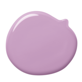 colorex-54-100ml-1500g