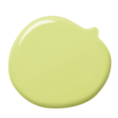 colorex-40-100ml-1500g