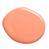 colorex-21-100ml-1500g