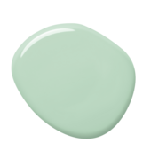 colorex-41-100ml-1500g