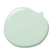 colorex-41-100ml-4000g